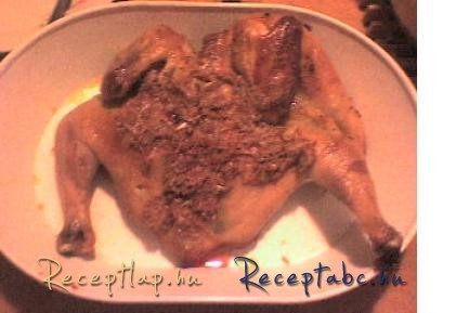 CIGÁNYPECSENYE CSIRKÉBŐL