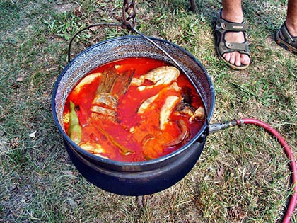 Bajai halászlé