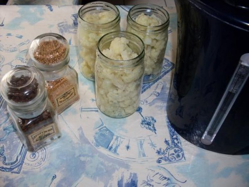 Ecetes karfiol	