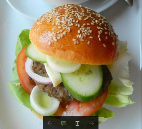 Hamburger